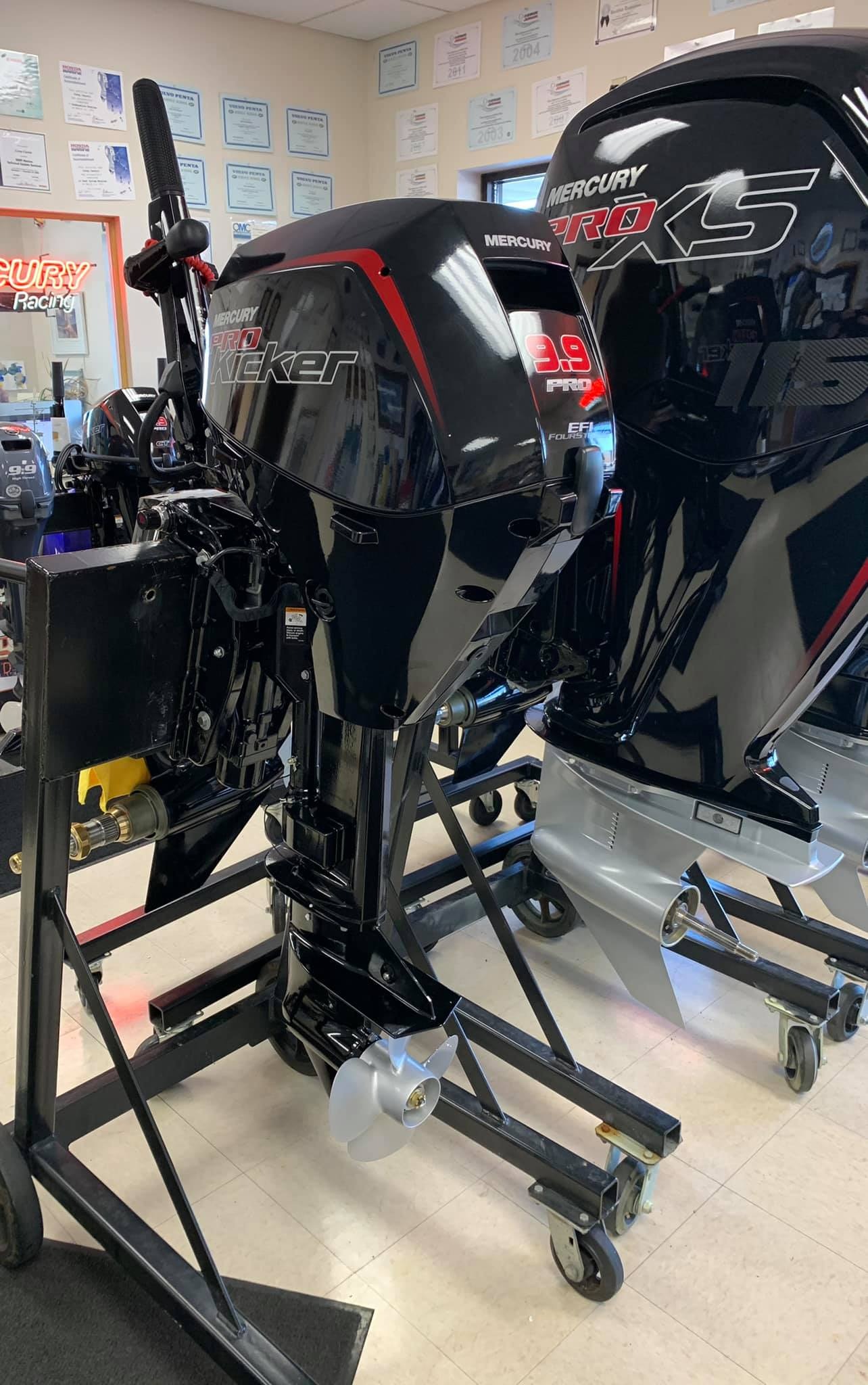 Mercury 9.9hp EFI Outboard Engine