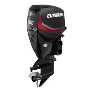 Buy Evinrude 150HP Outboard Online | E150DGL | 20 in. Shaft