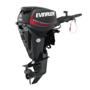 2019 Evinrude 30HP E30GTEL For Sale - 20 in. Shaft