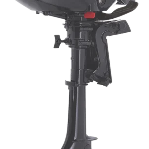 2020 Evinrude 3.5HP For Sale