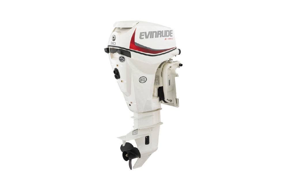 2020 Evinrude 30 HP For Sale