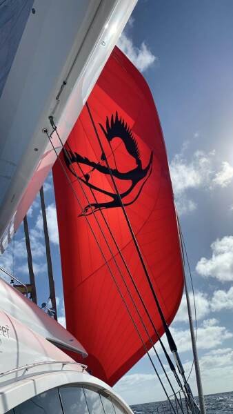 Sunreef Sunreef 82 DD HOUBARA - Image 23