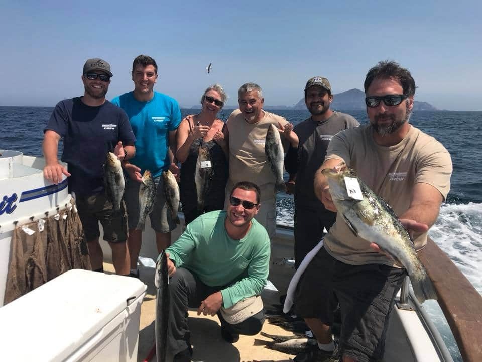 Inboard Engines For Sale - Image 10