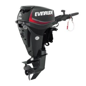 2019 Evinrude 25HP Outboard Motor | E25DRG | 15 in. Shaft